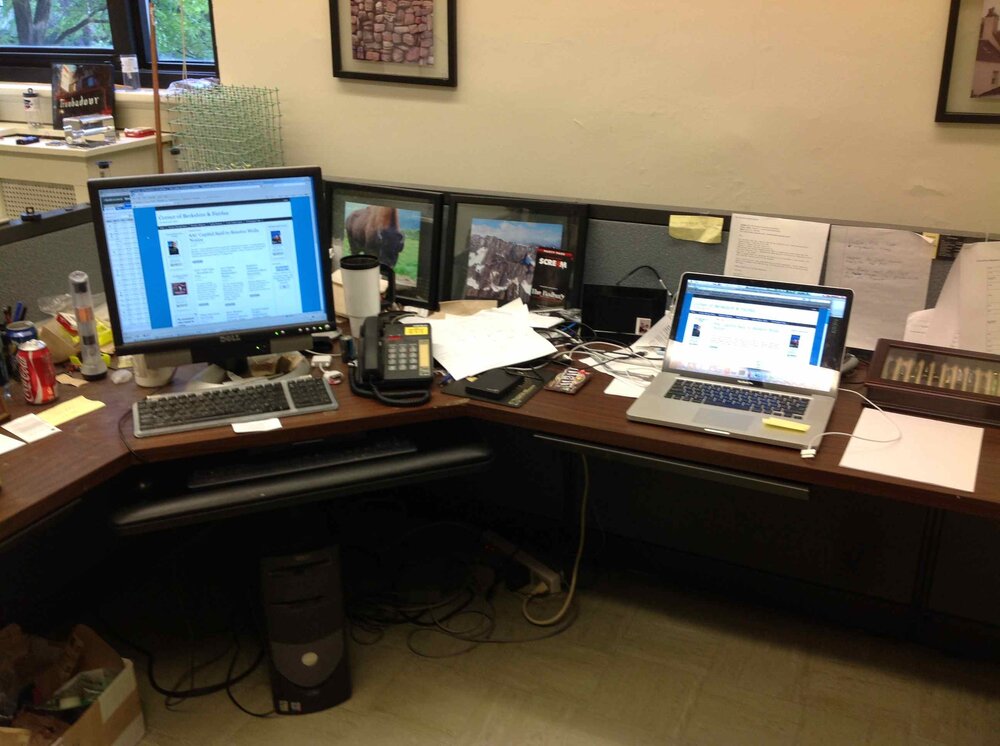 Office4.thumb.jpg.48bd14e5ac1d9a9aceaa24a6e807f43f.jpg