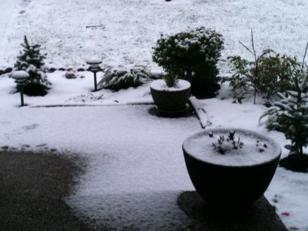 Snow_2012_001.thumb.JPG.faa0ca85a1cc0cfde3adf3bc19850bb1.JPG