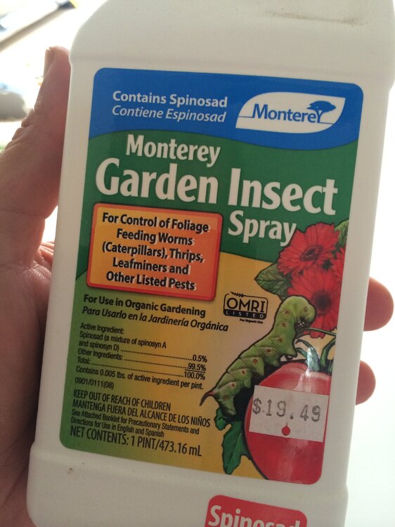 organic.thumb.JPG.d75c912c62a921a96a164bd7f003711d.JPG