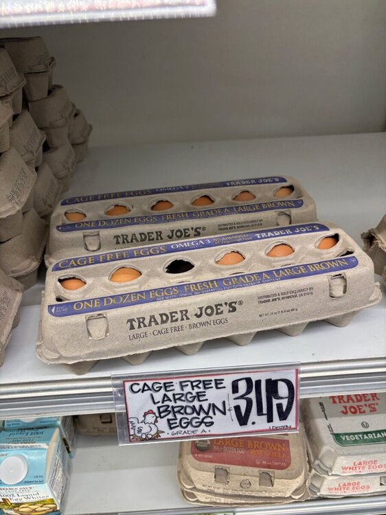 IMG_1176.jpeg