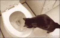 image.gif.9cdc3a857c9a6500e2b29b8c4c683f2c.gif