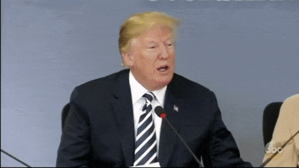 image.gif.4ee80eec10f4979e9ef3a2e154b87b53.gif