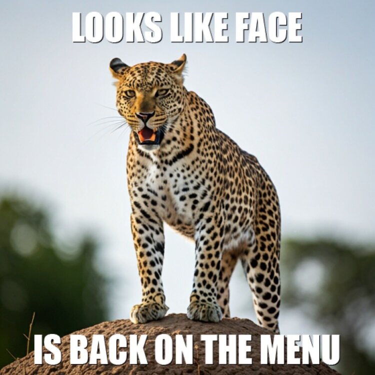 image.thumb.jpeg.e28dcc06e028e35705b5e95f5d97a665.jpeg