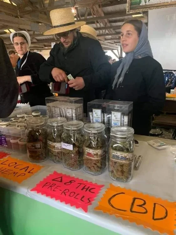 amish-selling-their-homegrown-weed-at-a-cannabis-festival-v0-yqmde451b4pf1.jpeg.thumb.webp.9dbfb699ba9e0c1fc559099464e94163.webp