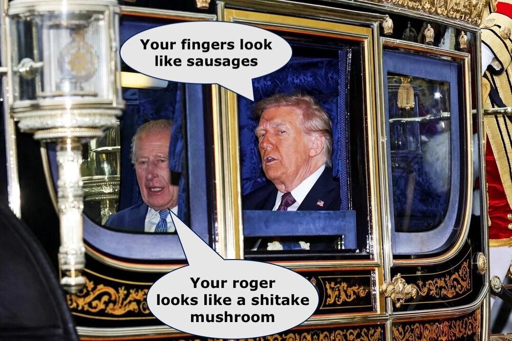 image.thumb.jpeg.c94f1acf40ac2bb1b7b11f8953dd71d7.jpeg