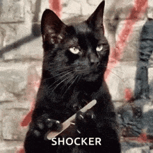 image.gif.294df24f916586ee775b71008055eea1.gif